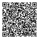 QR код "Рыжий кот"
