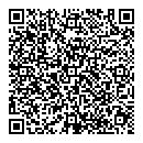 QR код "Рио"