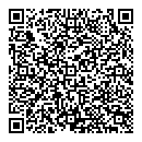 QR код "Викинг"