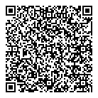 QR код "Профессионал"