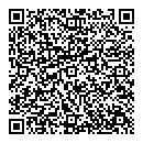 QR код "Спутник"