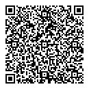 QR код "Твин-кам"