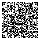 QR код "ДНС"