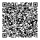 QR код "Art Style"
