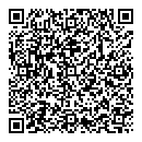 QR код "Рио"