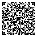QR код "Викинг"