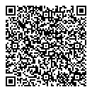 QR код "Фишка"