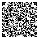 QR код "Black Vinil"