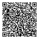 QR код "Лион"