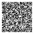 QR код "Метеорит"