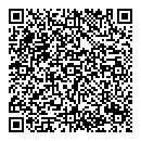 QR код "Telepay"