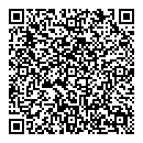 QR код "Da Vinci"