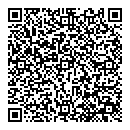 QR код "Diner city"
