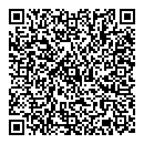 QR код "Метеор"