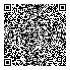 QR код "ДНС"