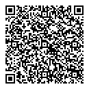 QR код "Holland"
