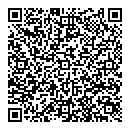 QR код "Глобус"