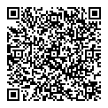 QR код "Remix"