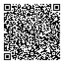QR код "Шмель"
