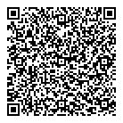 QR код "Звездочный"