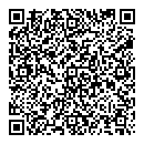 QR код "Айсберг"