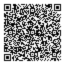 QR код "Алиса"