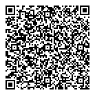 QR код "ДНС"