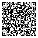 QR код "ДНС"