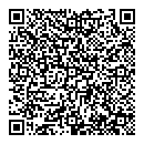 QR код "Линза"