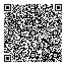 QR код "Торус"