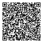 QR код "Авион"