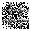 QR код "Pit Lane"