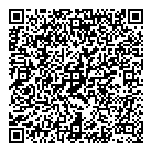 QR код "Андромеда"