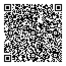QR код "Aviator"