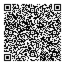 QR код "Алиса"