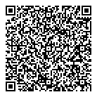 QR код "Domlink"