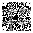 QR код "Созвездие"