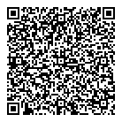 QR код "Спутник"