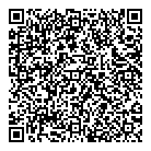QR код "НЛО"