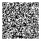 QR код "Art Vinyl"