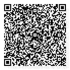 QR код "Art Vinyl"