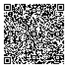 QR код "Art Vinyl"