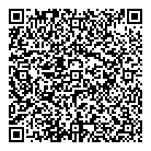 QR код "Art Vinyl"