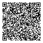 QR код "Art Vinyl"