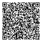 QR код "Домино"