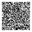 QR код "Алсу"