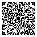QR код "Авиатор"