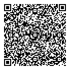 QR код "Метеорит"