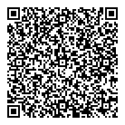 QR код "Noisy"