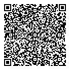 QR код "Aero"